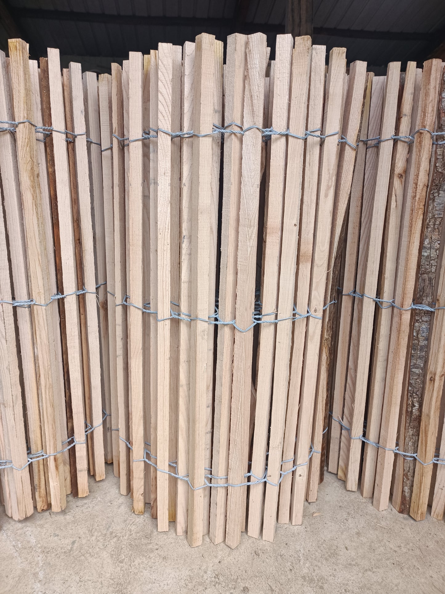 Ganivelle en châtaignier - Rouleau de 10 mètres